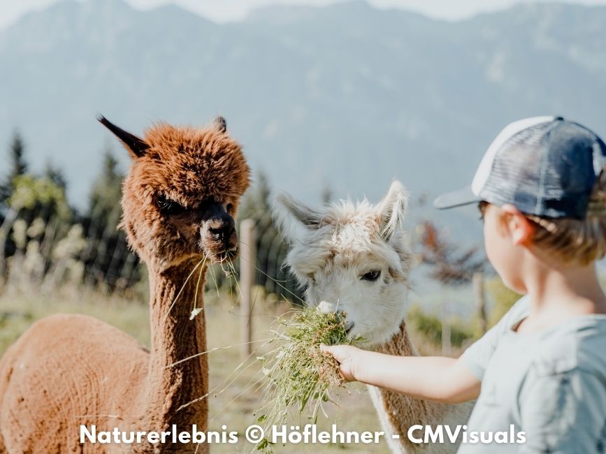 Naturerlebnis f&uuml;r Kinder &copy; Natur- und Wellnesshotel H&ouml;flehner - CMViuals