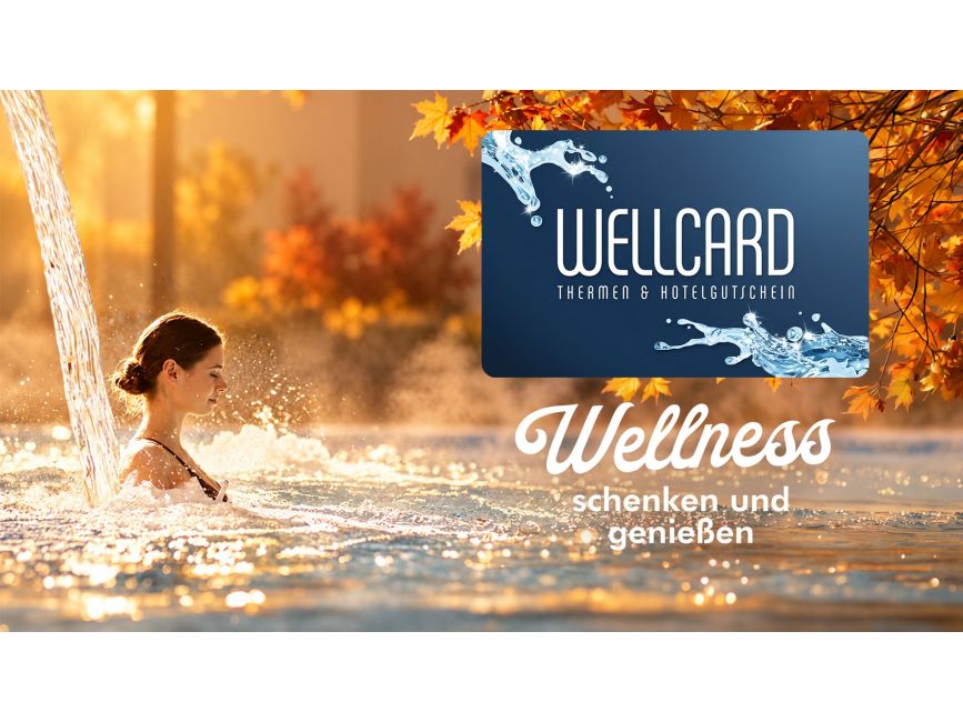 Gewinnspiel WellCard