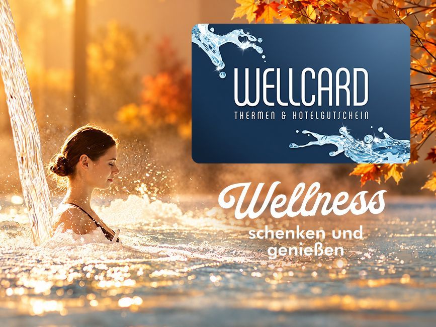 Gewinnspiel WellCard
