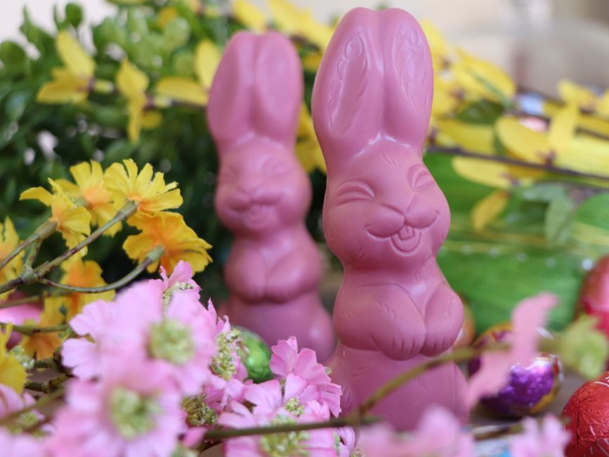 Schoko-Osterhasen aus Ruby Schokolade